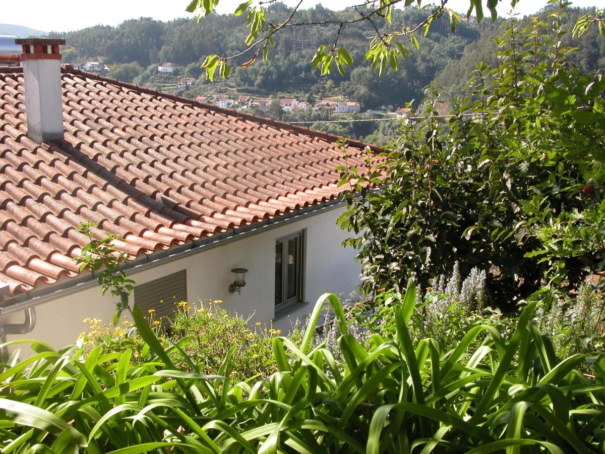 Casa Do Outeiro Villa Penacova Kültér fotó